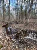 PART LOT 14 CONCESSION 7 | McMurrich/Monteith Ontario | Slide Image Nineteen