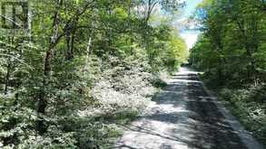 PART LOT 14 CONCESSION 7 | McMurrich/Monteith Ontario | Slide Image Four