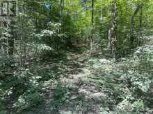 PART LOT 14 CONCESSION 7 | McMurrich/Monteith Ontario | Slide Image Six