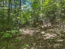 PART LOT 14 CONCESSION 7 | McMurrich/Monteith Ontario | Slide Image Seven