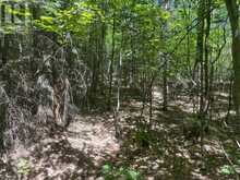 PART LOT 14 CONCESSION 7 | McMurrich/Monteith Ontario | Slide Image Eight