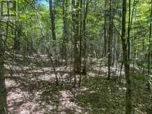 PART LOT 14 CONCESSION 7 | McMurrich/Monteith Ontario | Slide Image Nine
