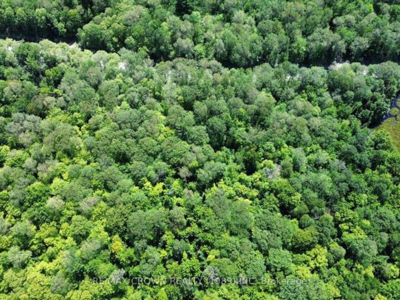 PART LOT 14 CONCESSION 7, McMurrich/Monteith, Ontario P0A 1Y0