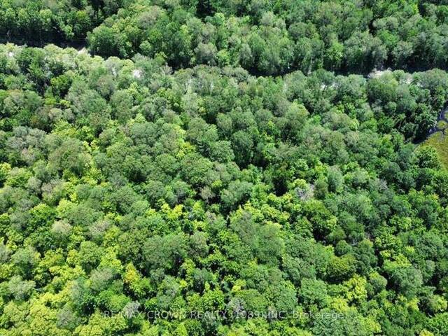 PART LOT 14 CONCESSION 7 McMurrich/Monteith Ontario, P0A 1Y0 - Vacant Land For Sale