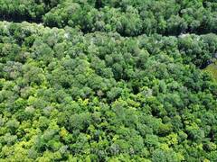 PART LOT 14 CONCESSION 7 McMurrich/Monteith Ontario, P0A 1Y0