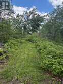 1856 PAPINEAU ROAD | Mattawan Ontario | Slide Image Forty-four