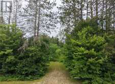 PART LOT 15 CONCESSION 13 ROAD | Mattawan Ontario | Slide Image Two