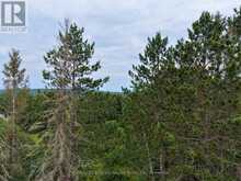PART LOT 15 CONCESSION 13 ROAD | Mattawan Ontario | Slide Image Five