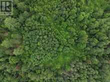 PART LOT 15 CONCESSION 13 ROAD | Mattawan Ontario | Slide Image Six