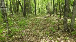 101 PT 1 RYE ROAD | Powassan Ontario | Slide Image Fifteen