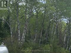 LOT 33 RUTHERGLEN LINE North Bay Ontario, P0H 2E0
