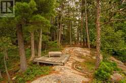 PCL 33 DAVE ISLAND | North Bay Ontario | Slide Image Thirty-three