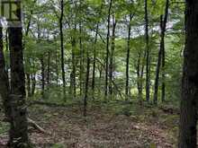 PART LOT 11 & 12 CHIKOPI ROAD | Magnetawan Ontario | Slide Image Two