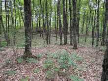PART LOT 11 & 12 CHIKOPI ROAD | Magnetawan Ontario | Slide Image Three