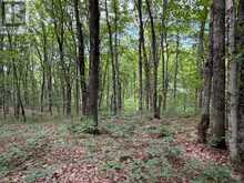 PART LOT 11 & 12 CHIKOPI ROAD | Magnetawan Ontario | Slide Image Four