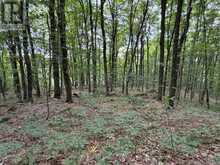 PART LOT 11 & 12 CHIKOPI ROAD | Magnetawan Ontario | Slide Image Five