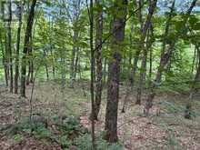 PART LOT 11 & 12 CHIKOPI ROAD | Magnetawan Ontario | Slide Image Six
