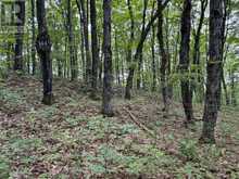 PART LOT 11 & 12 CHIKOPI ROAD | Magnetawan Ontario | Slide Image Seven