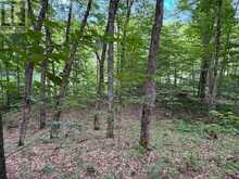 PART LOT 11 & 12 CHIKOPI ROAD | Magnetawan Ontario | Slide Image Eight