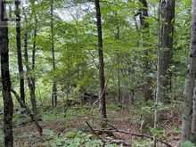 PART LOT 11 & 12 CHIKOPI ROAD | Magnetawan Ontario | Slide Image Nine