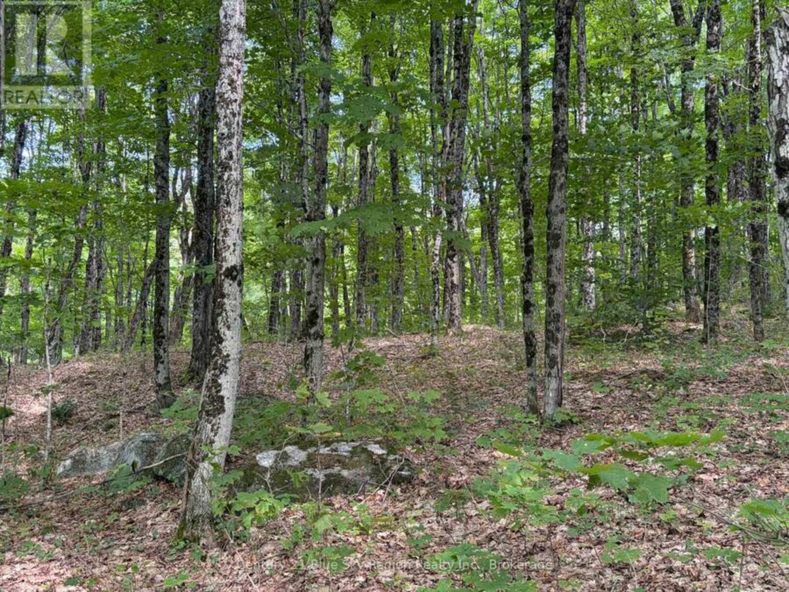 PART LOT 11 & 12 CHIKOPI ROAD, Magnetawan, Ontario P0A 1P0