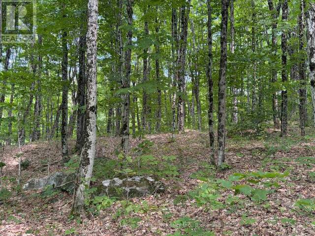 PART LOT 11 & 12 CHIKOPI ROAD Magnetawan Ontario, P0A 1P0 - Vacant Land For Sale