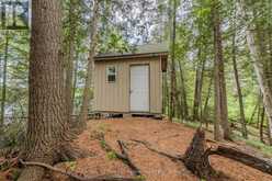 44 ISLAND | Temagami Ontario | Slide Image Sixteen