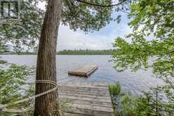 44 ISLAND | Temagami Ontario | Slide Image Twenty-two