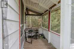 44 ISLAND | Temagami Ontario | Slide Image Nine