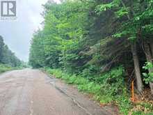 LOT 1 WIDDIFIELD STATION ROAD | North Bay Ontario | Slide Image Two