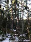 CON 3 PT LOT 25 | Temiskaming Shores Ontario | Slide Image One