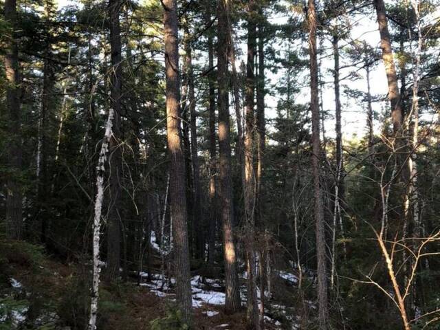 CON 3 PT LOT 25 Temiskaming Shores Ontario, P0J 1C0 - Vacant Land For Sale