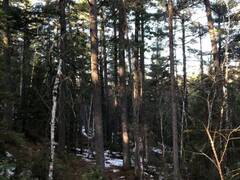 CON 3 PT LOT 25 Temiskaming Shores Ontario, P0J 1C0