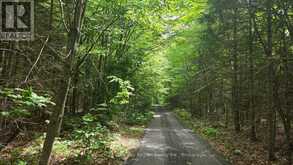 LOT 2, 3, 4, 5, CON 4 OLD NIPISSING ROAD | Powassan Ontario | Slide Image Twenty-six
