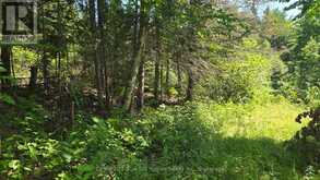 LOT 2, 3, 4, 5, CON 4 OLD NIPISSING ROAD | Powassan Ontario | Slide Image Twenty-nine