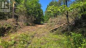 LOT 2, 3, 4, 5, CON 4 OLD NIPISSING ROAD | Powassan Ontario | Slide Image Thirty