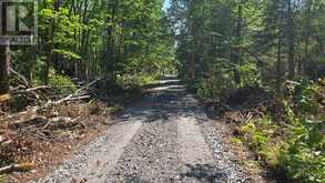 LOT 2, 3, 4, 5, CON 4 OLD NIPISSING ROAD | Powassan Ontario | Slide Image Thirty-two