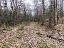 LOT 2, 3, 4, 5, CON 4 OLD NIPISSING ROAD | Powassan Ontario | Slide Image Forty-three