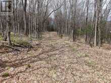 LOT 2, 3, 4, 5, CON 4 OLD NIPISSING ROAD | Powassan Ontario | Slide Image Forty-four