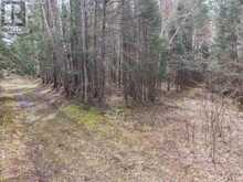 LOT 2, 3, 4, 5, CON 4 OLD NIPISSING ROAD | Powassan Ontario | Slide Image Forty-five