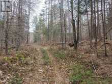 LOT 2, 3, 4, 5, CON 4 OLD NIPISSING ROAD | Powassan Ontario | Slide Image Five