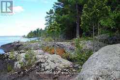 LT 4 PL M496 GRAND TRUNK ISLAND | North Bay Ontario | Slide Image Six