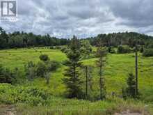 3518 HIGHWAY 17 | Mattawan Ontario | Slide Image Two