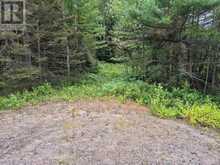 3518 HIGHWAY 17 | Mattawan Ontario | Slide Image Four