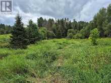3518 HIGHWAY 17 | Mattawan Ontario | Slide Image Eight
