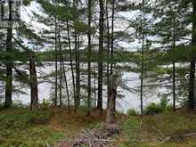 WM2-1 LAKE NIPISSING | West Nipissing Ontario | Slide Image Twenty-four