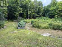 472 O'CONNOR LINE | Powassan Ontario | Slide Image Six