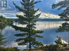 82 JESSUP ISLAND | Nipissing Ontario | Slide Image Five