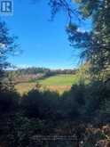 PT LT 33 CON 5 HUMMEL LINE | Powassan Ontario | Slide Image Thirteen