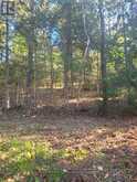 PT LT 33 CON 5 HUMMEL LINE | Powassan Ontario | Slide Image Sixteen